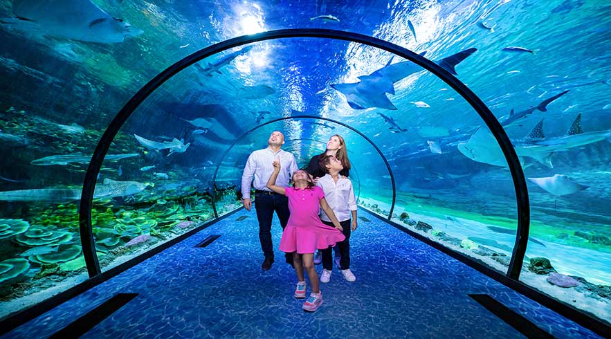 Dubai City Tour